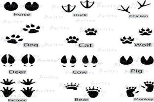 12 Different Animal Footprints Clipart for Creative Projects