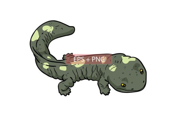 Capturing Nature's Charm: The Salamander Lizard Illustration