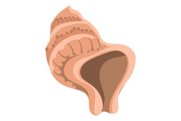 Charming Marine Shell Animal Icon: A Cute Seashell Font Guide
