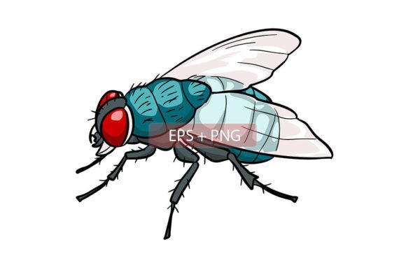 Creative Uses for Flies Insect Animal Illustration