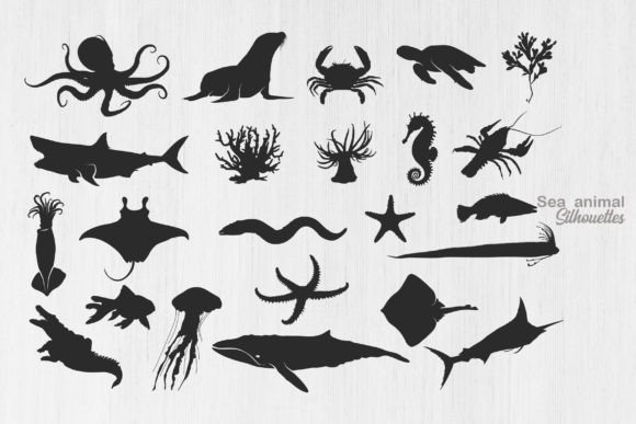 Sea Animal Silhouette: Ocean Animal SVG for Creative Projects